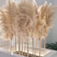 Dried Pampas | Event Decoration Dried Pampas | Event Decoration
